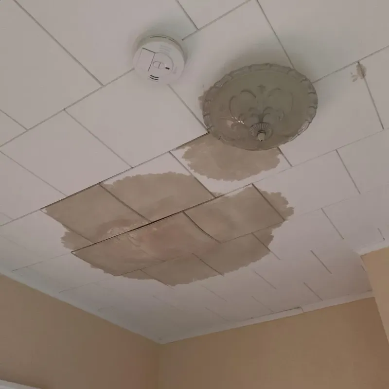 Ceiling Water Damage Repair in Park City, IL