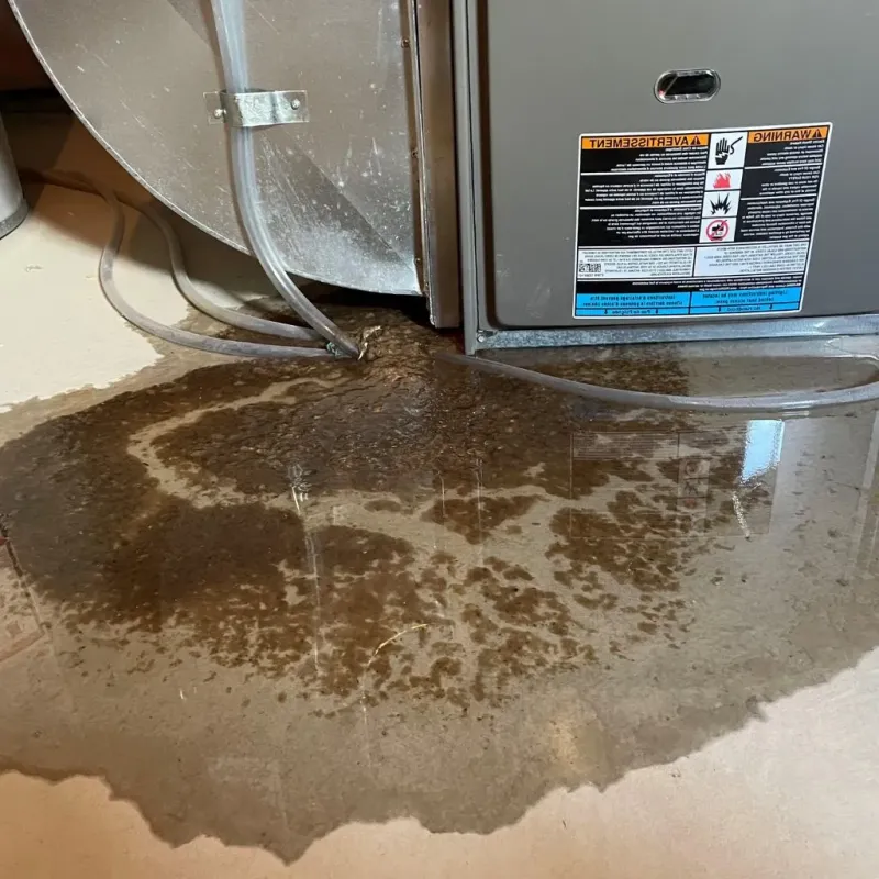 Pipe Burst and Leak Restoration in Park City, IL