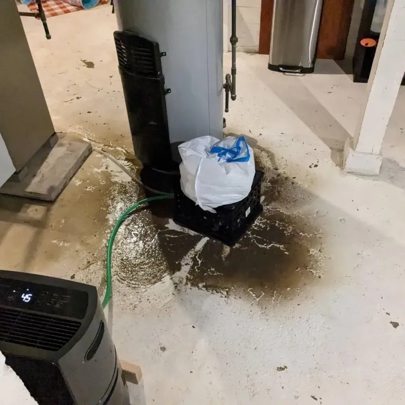 Sewage Backup Cleanup Service in Park City, IL